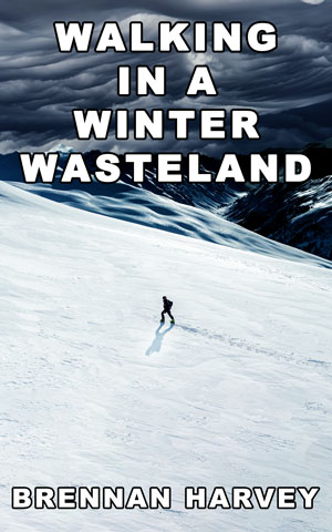 Walking in a Winter Wasteland by Brennan Harvey